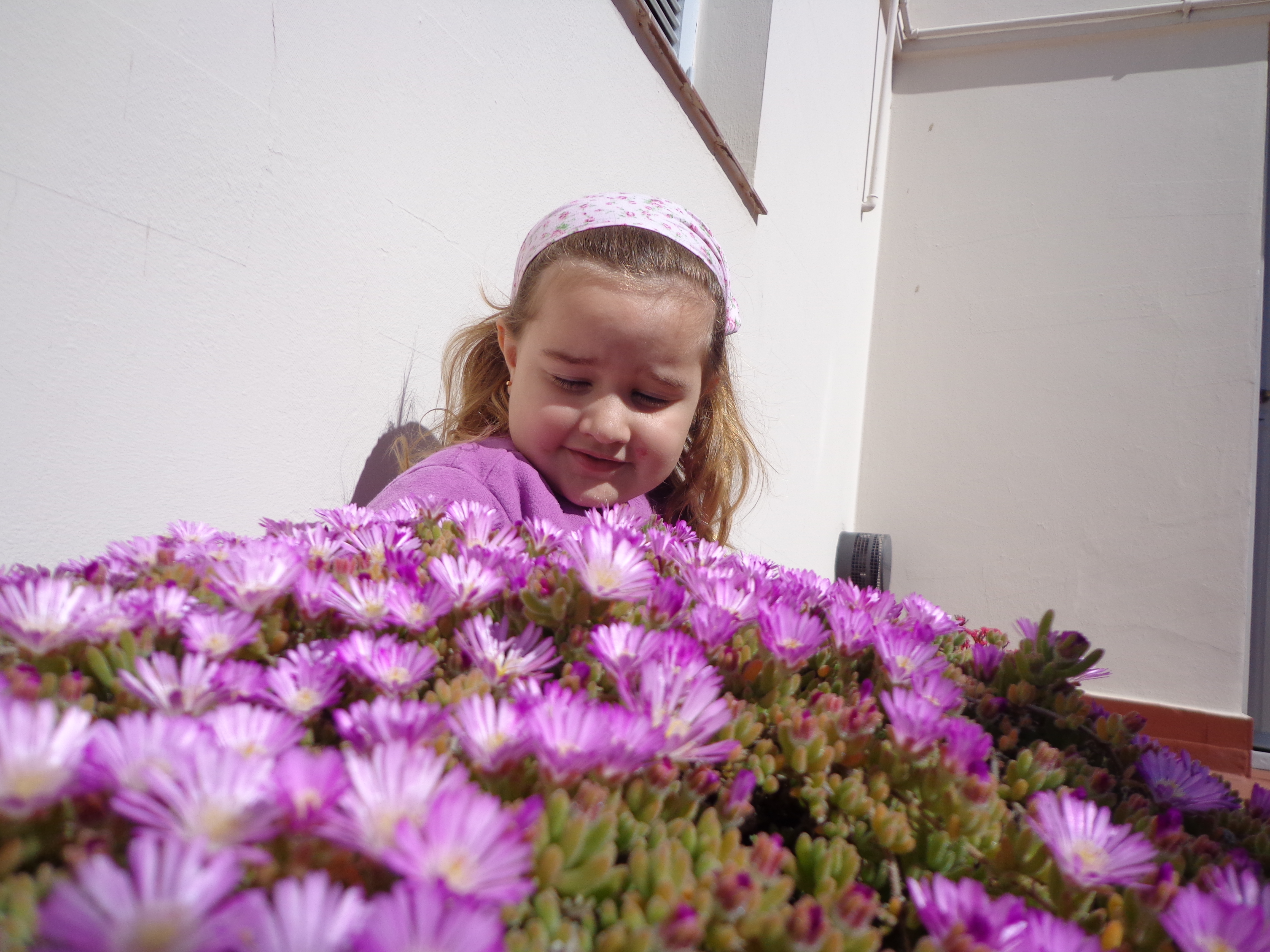 fotos/2012-12-25 - Iara con el tio y las flores/DSC00071.JPG